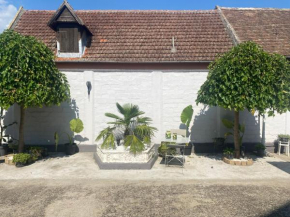 VIKI apartman